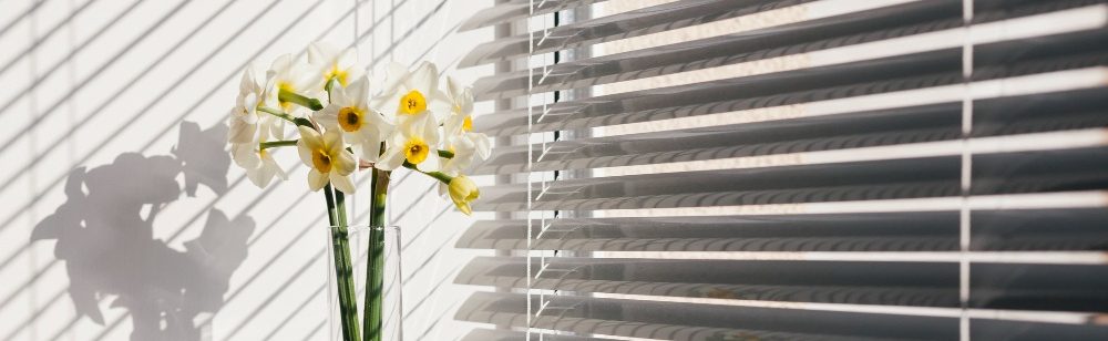 Window blinds